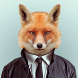 foxdk