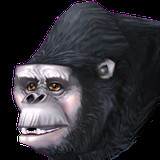 kingstonzt2