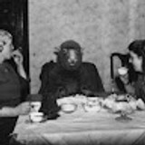 justina-mitkute