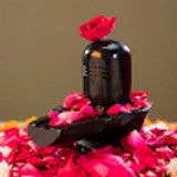 naman-ojha