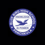blue-bird-school