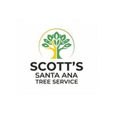 arboristsantaana