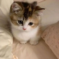 wadnrl