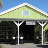 green-barn-orchi