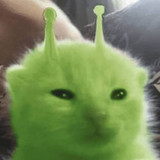 theevilweedo