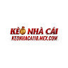 keo-nha-cai-mexc
