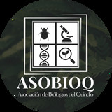 asobioq