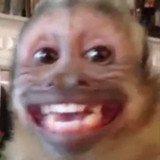 andypapes