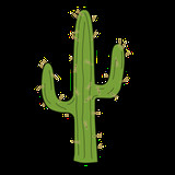 executivecactus
