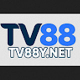 tv88y-net