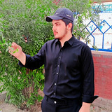 zeeshan-ali22356