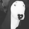 sledovatel7