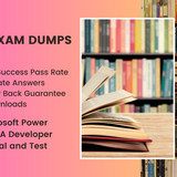 pl500examdumps