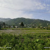 akshat-singh22