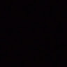 u80441