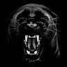 jaguar-cosmic