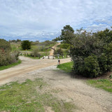 rhano