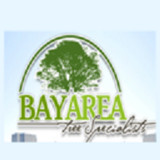 arboristsanjose