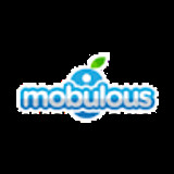 mobulous-marketi