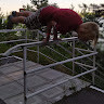 workaut-nsk