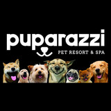 puparazila