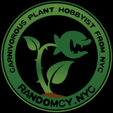 randomcy