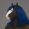 shirewolf