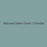 coons-and-doodle
