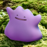 oh-sayitditto