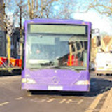 daniel23245